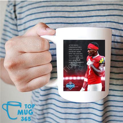 After Much Consideration I Have Decided To Enter My Name Into The 2023 Nfl Draft Mug Mug trang